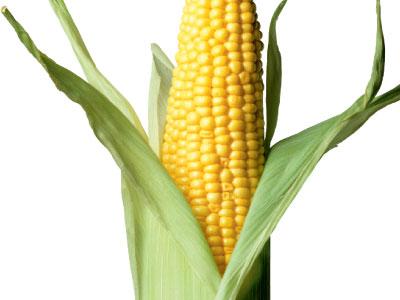 Прикрепленное изображение: ebf13d6da0450641d87ea07dd13575f2.jpg